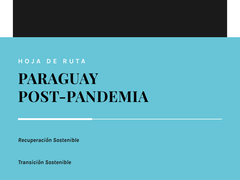 Descargue el informe aquí: Paraguay&nbsp;Post-Pandemia